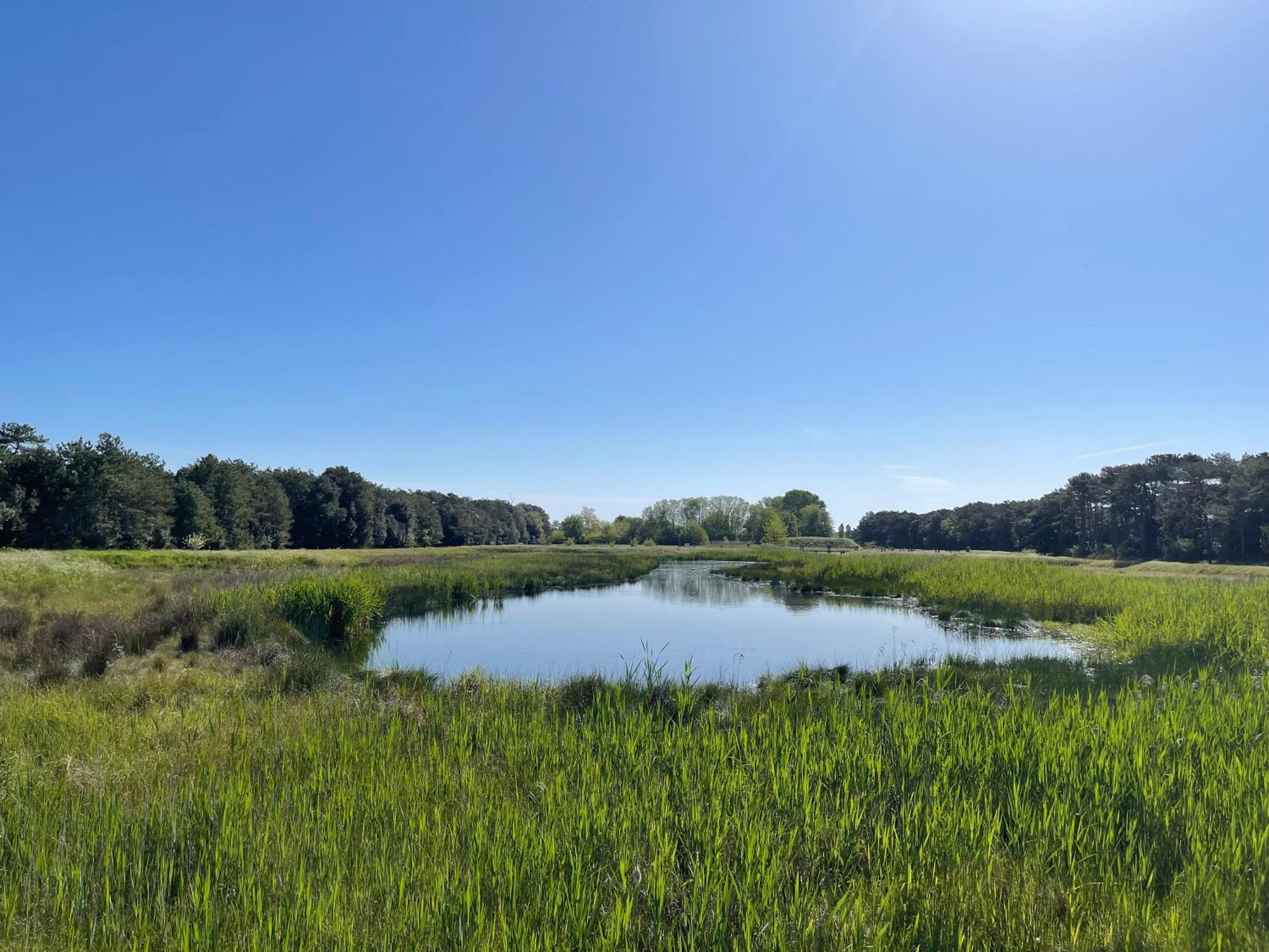 Lino Delle Fate Eco Resort Bibione Exterior photo